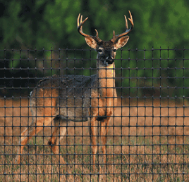 Stack Wrap Deer Fencing